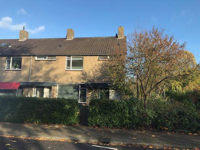 Afbeelding 1 van 10