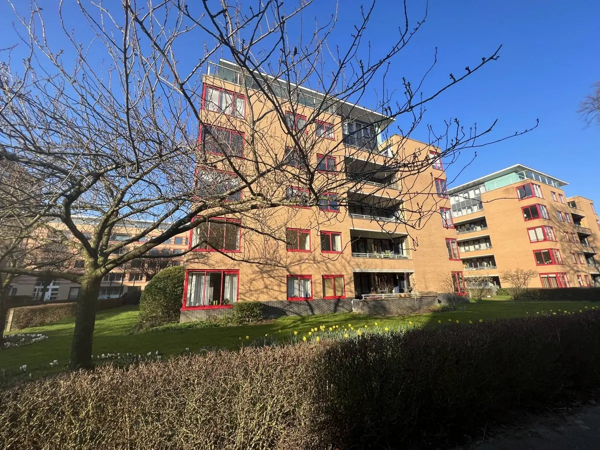 Image 15 of 16