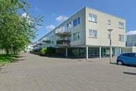 Afbeelding 2 van 4