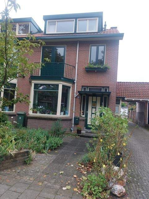 Bild 1 von 13