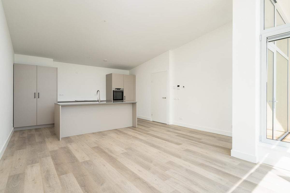 Afbeelding 1 van 40