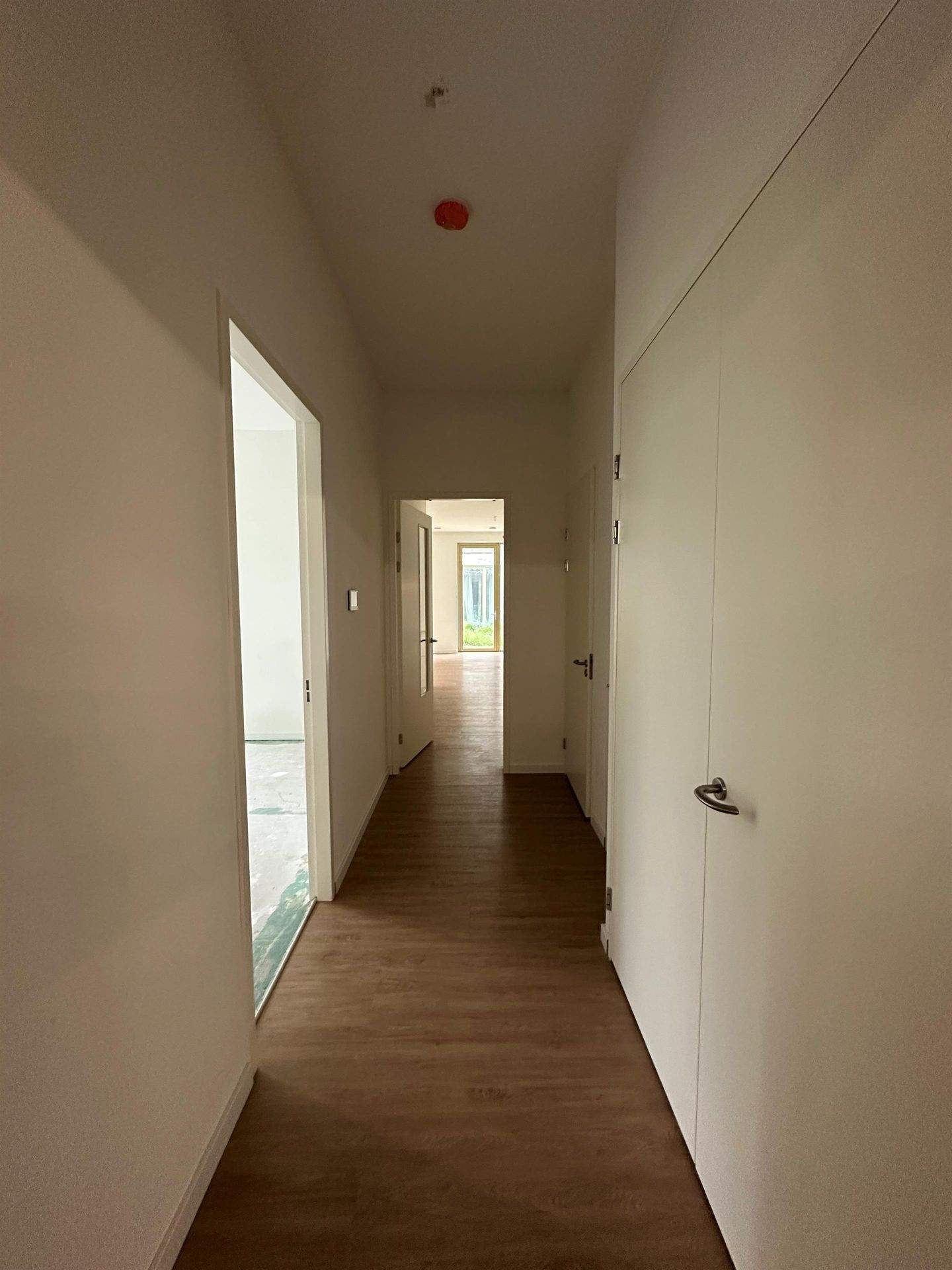 Bild 3 von 12