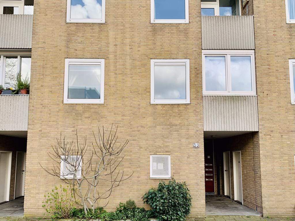 Afbeelding 2 van 12