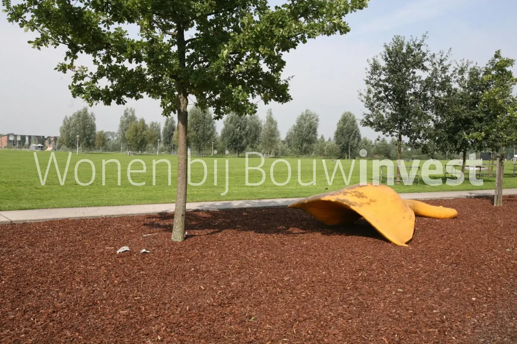 Bild 1 von 12