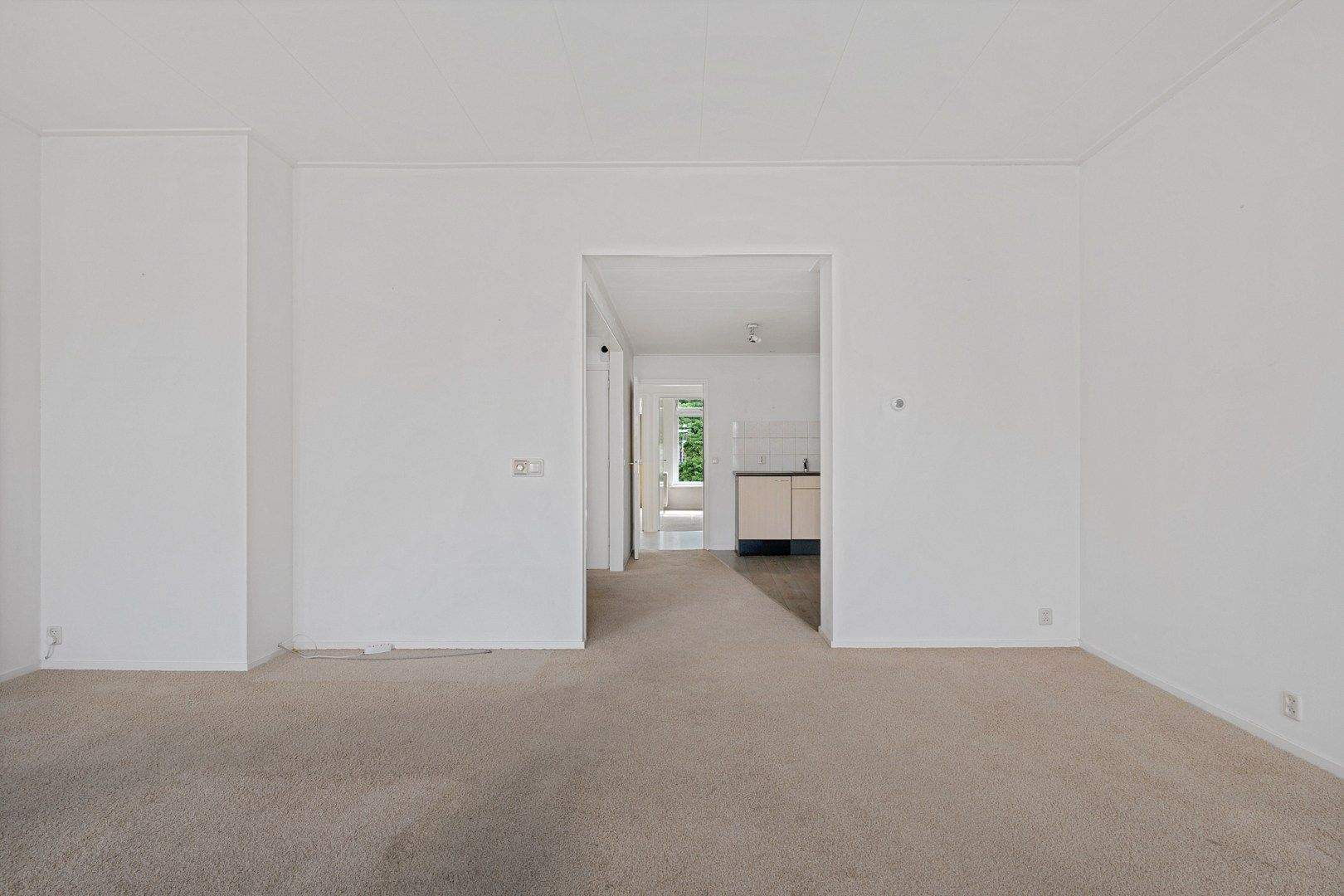 Image 12 of 20