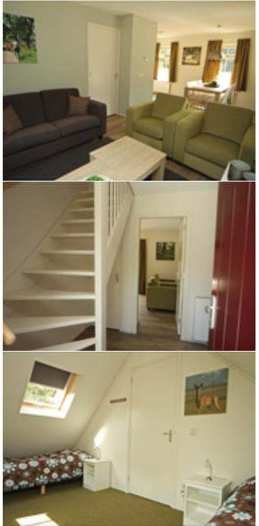 Bild 3 von 12