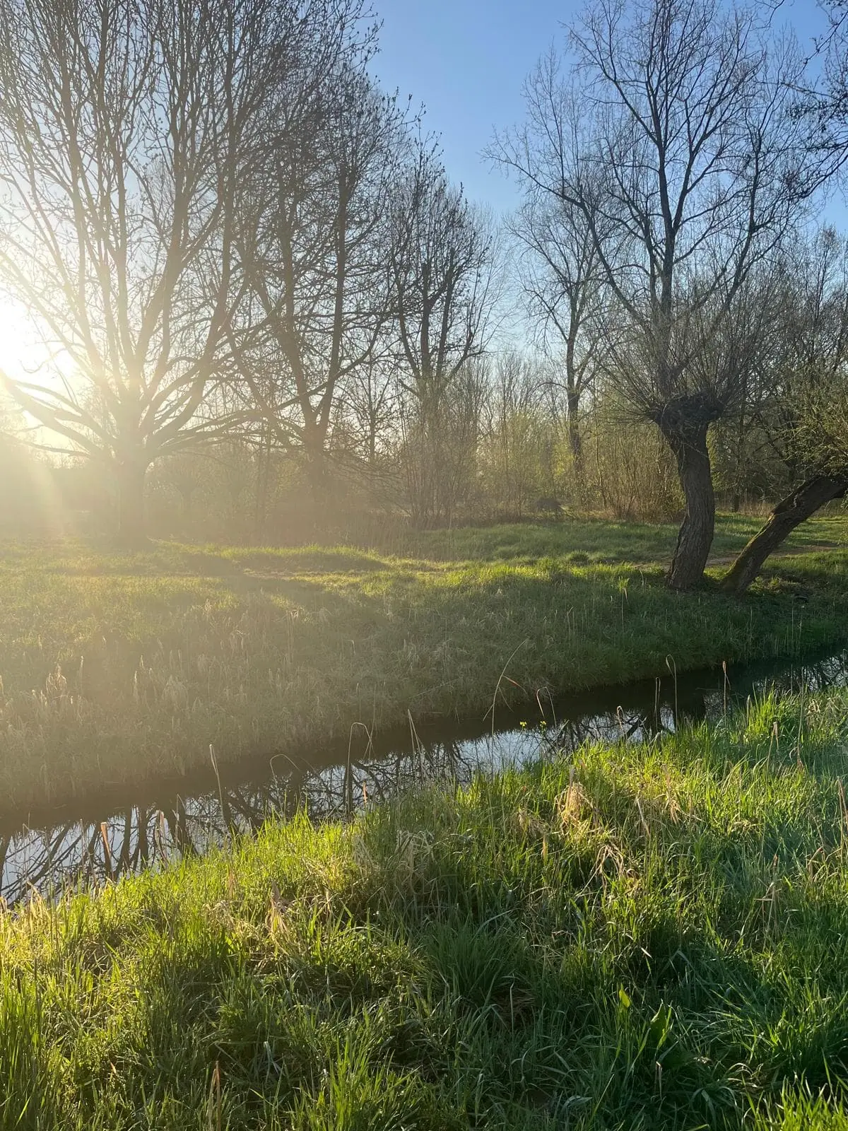 Image 10 of 10