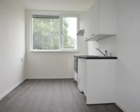 Chambre Gealanden, Leeuwarden - À louer