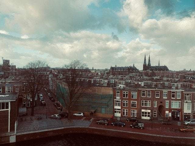 Afbeelding 2 van 21