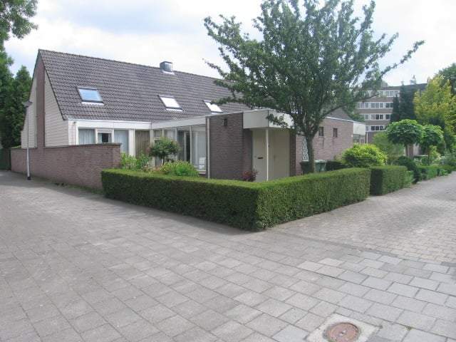 Bild 1 von 12