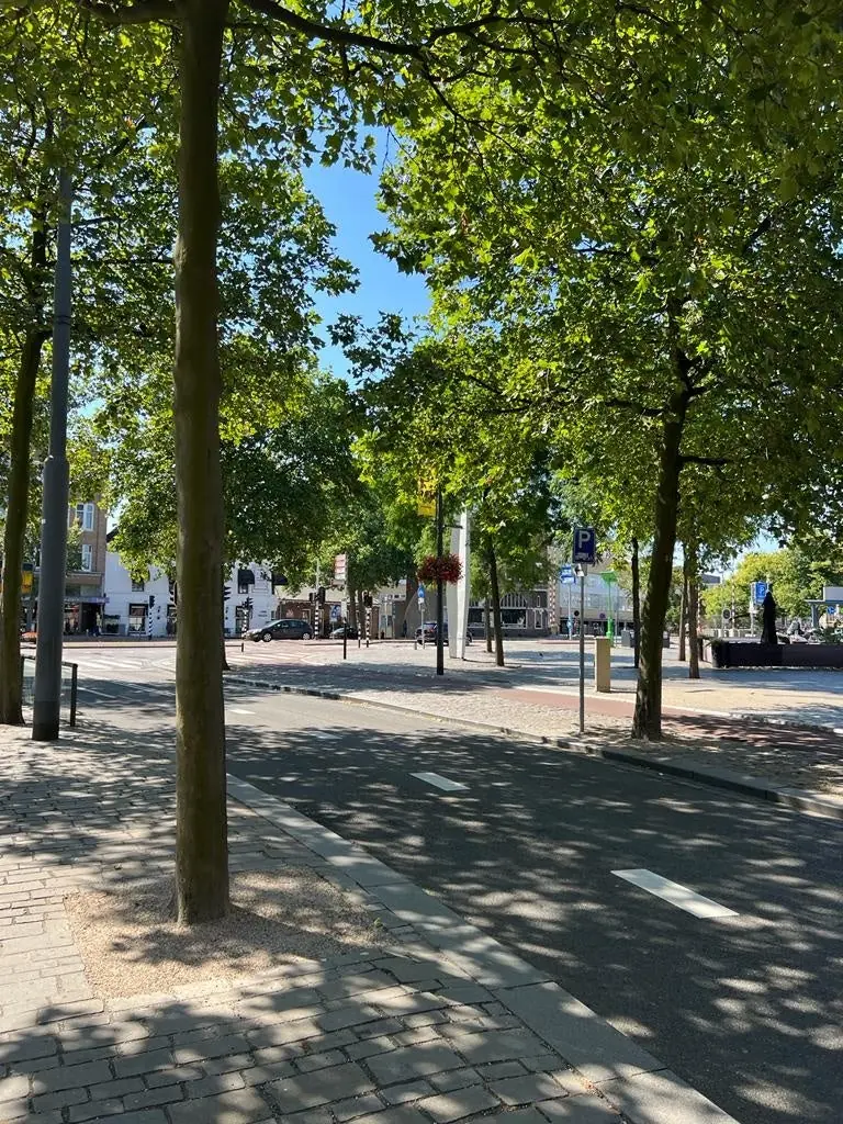 Image 26 of 29