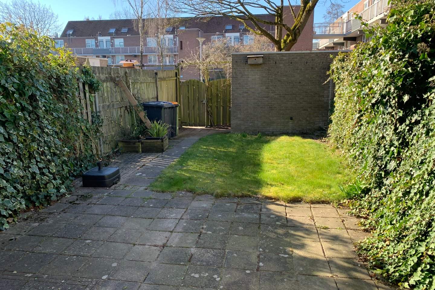 Image 2 of 12