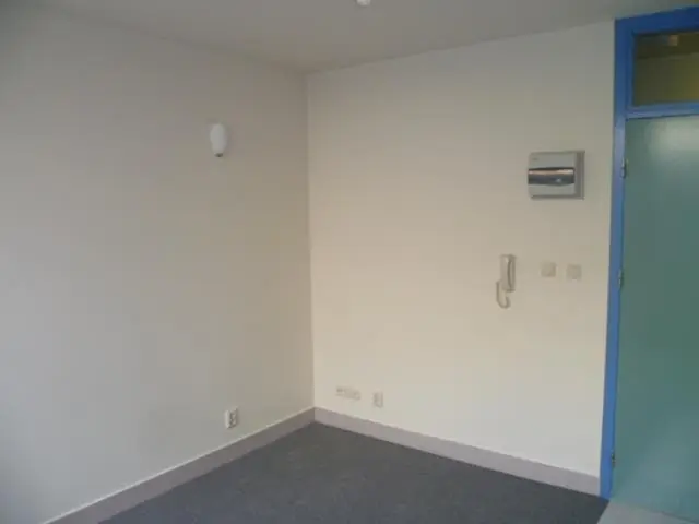 Image 2 of 11