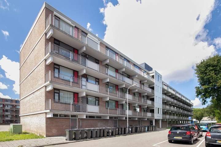 Afbeelding 1 van 1