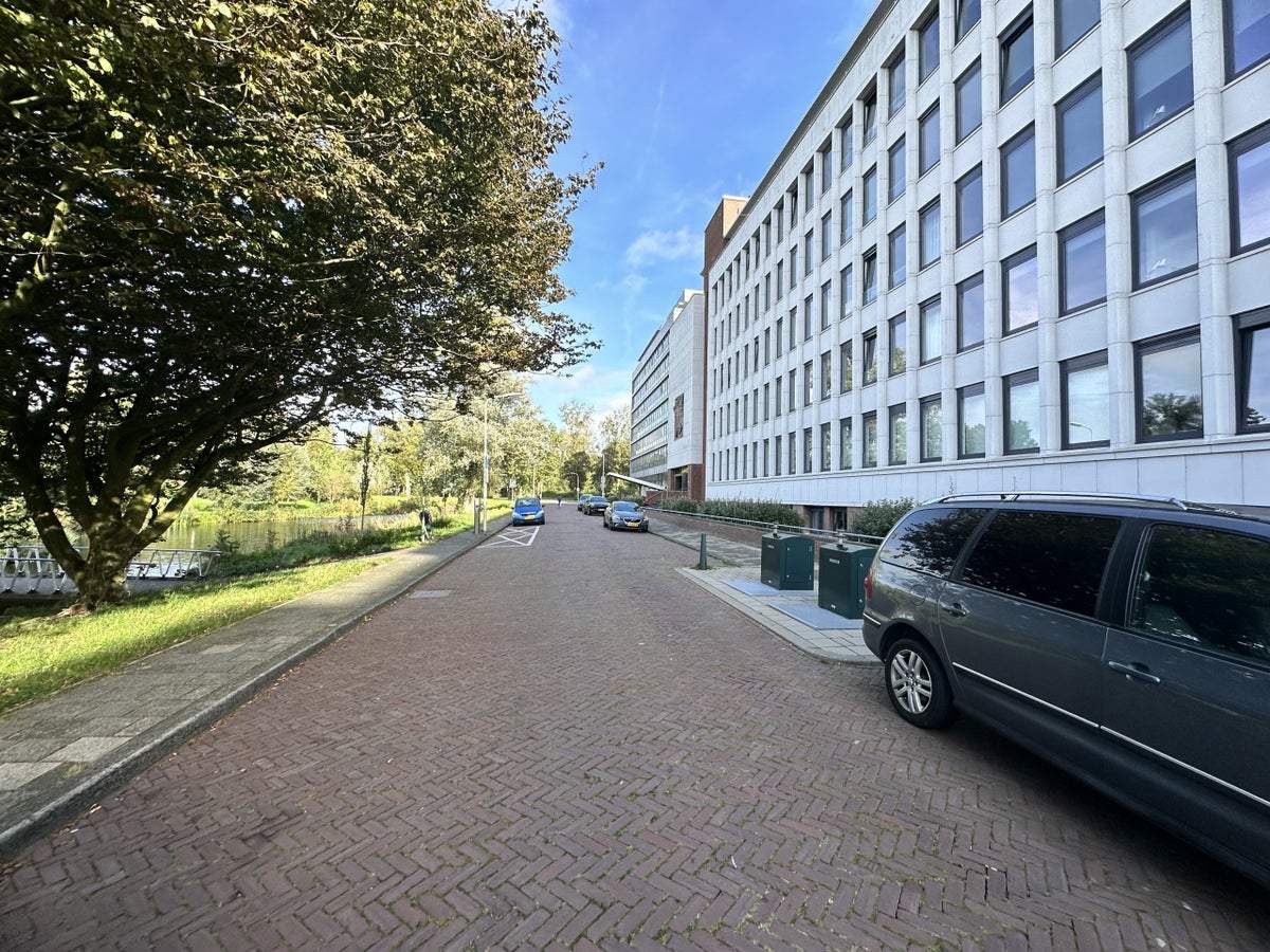 Afbeelding 3 van 17