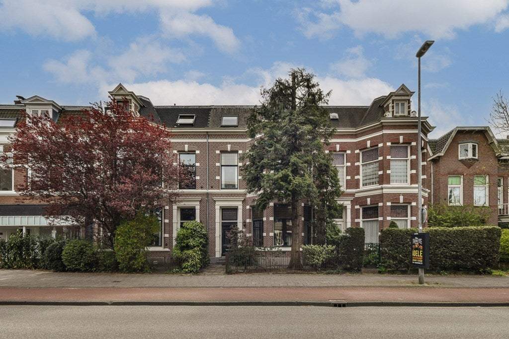 Afbeelding 1 van 31