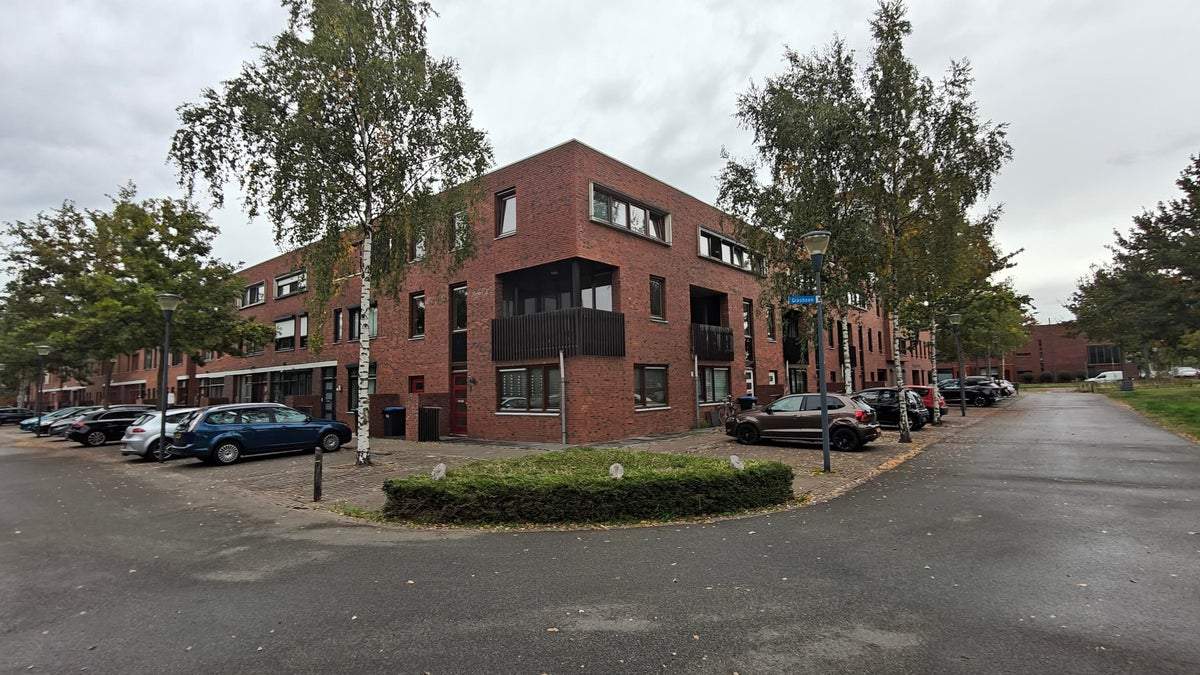 Afbeelding 1 van 12