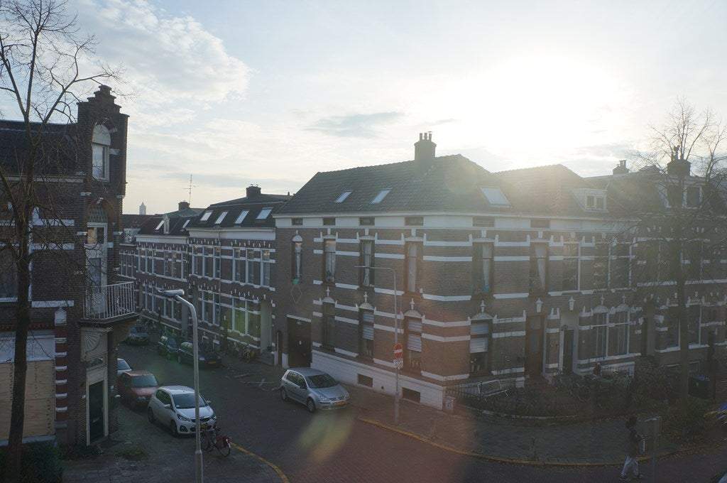 Afbeelding 2 van 13