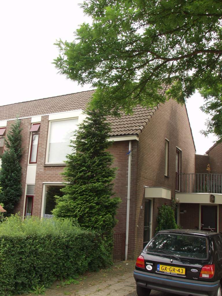 Afbeelding 1 van 11