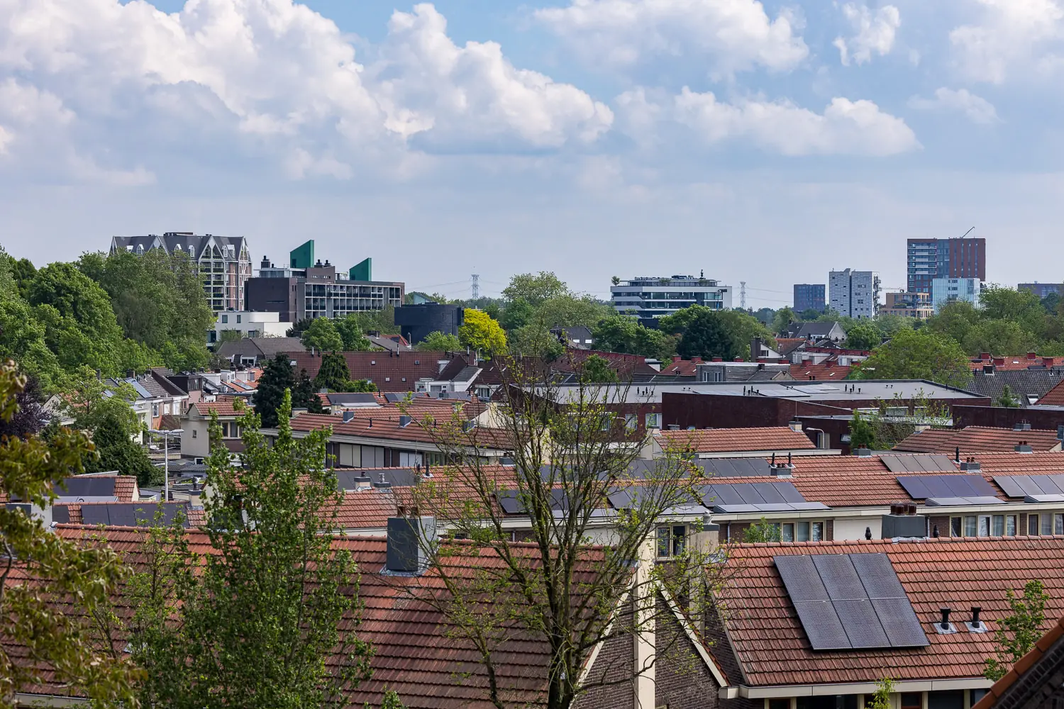 Afbeelding 8 van 10