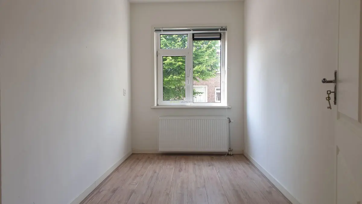 Image 12 of 22