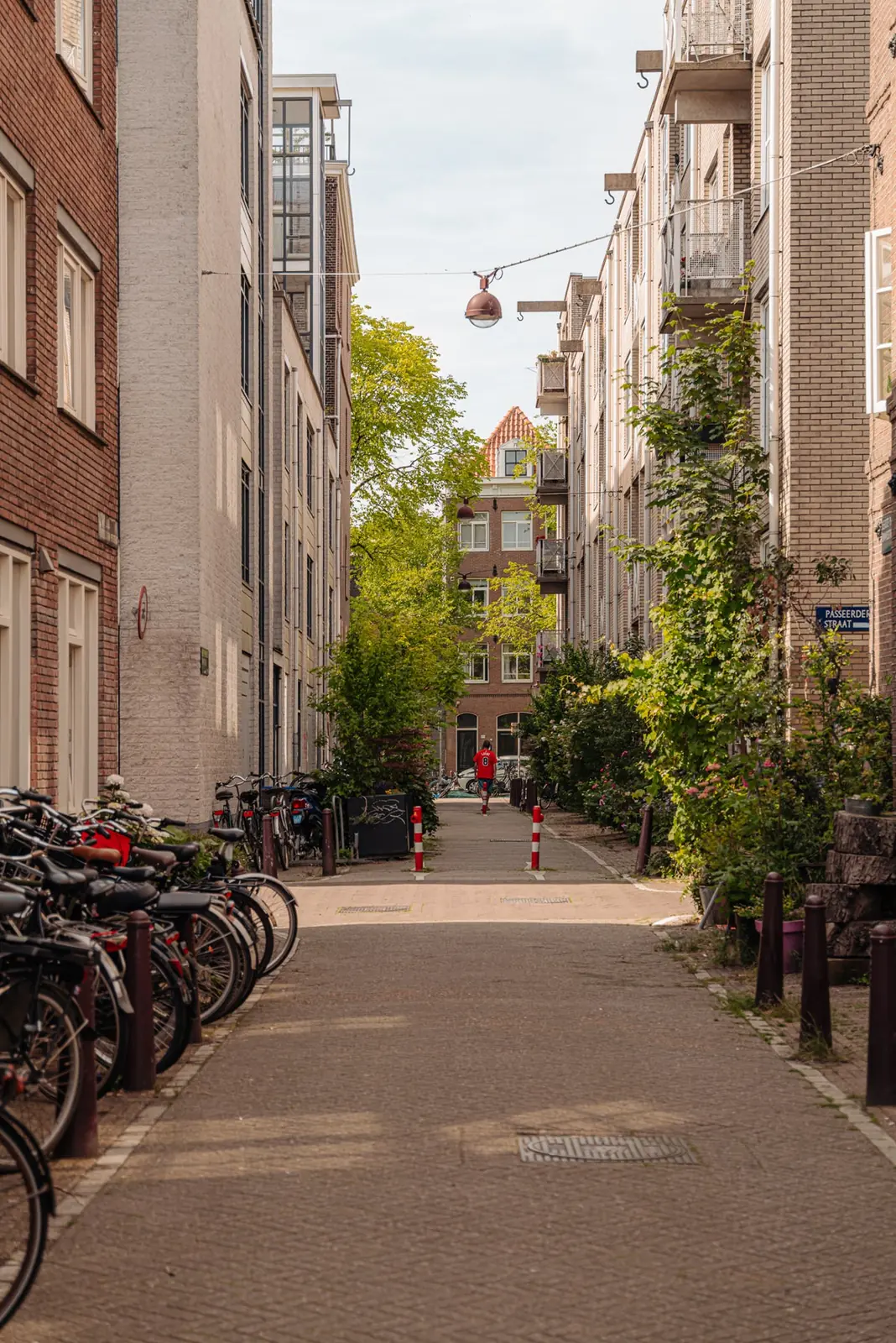 Afbeelding 55 van 61