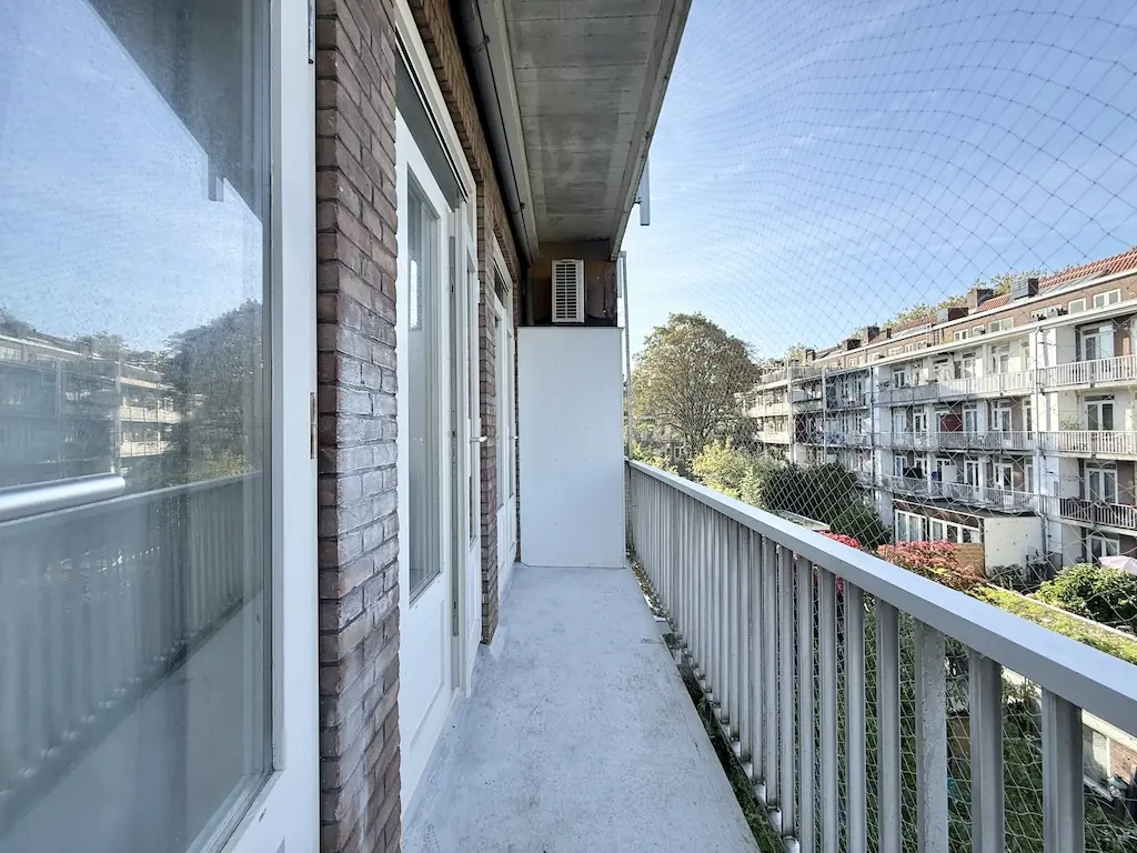 Image 11 of 16
