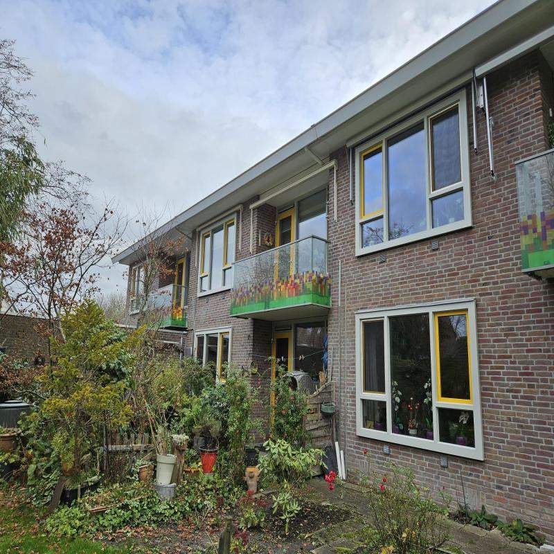 Afbeelding 4 van 9