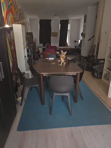 Möbliertes Zimmer Pieter de Raadtstraat, Rotterdam - Zu vermieten