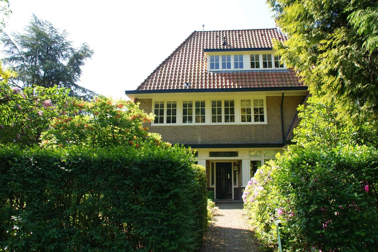 Image 1 of 12