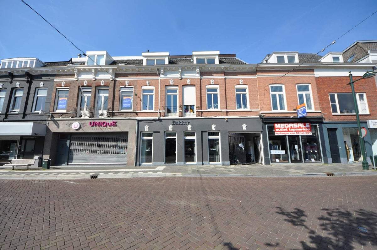 Afbeelding 1 van 12