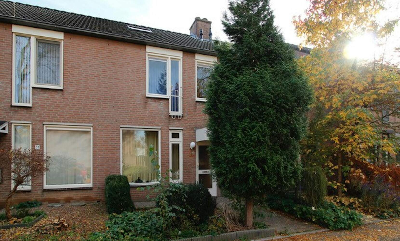 Afbeelding 3 van 8