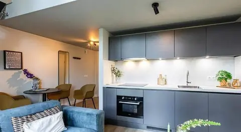 Loft Meublé Canisiushof, Berg en Dalseweg, Nimègue - À Louer