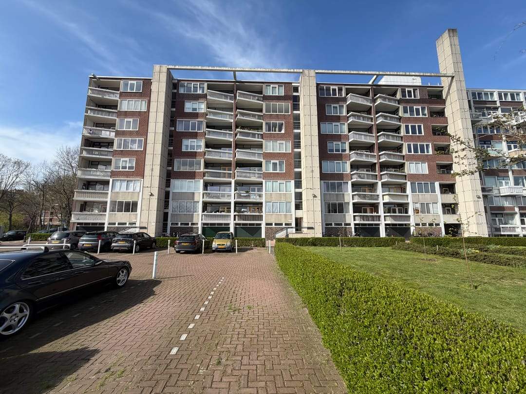 Afbeelding 8 van 8