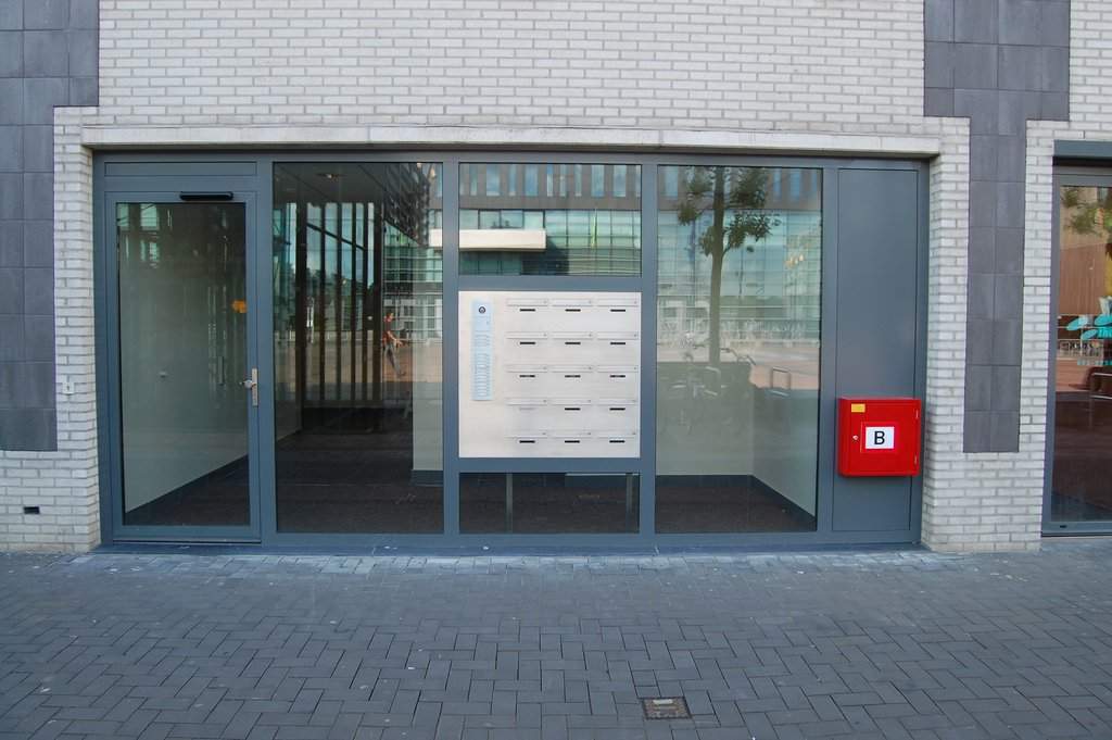 Afbeelding 3 van 12