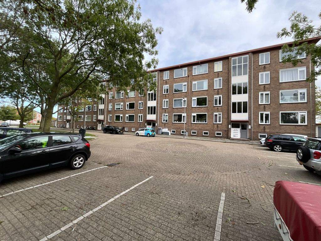 Afbeelding 2 van 5