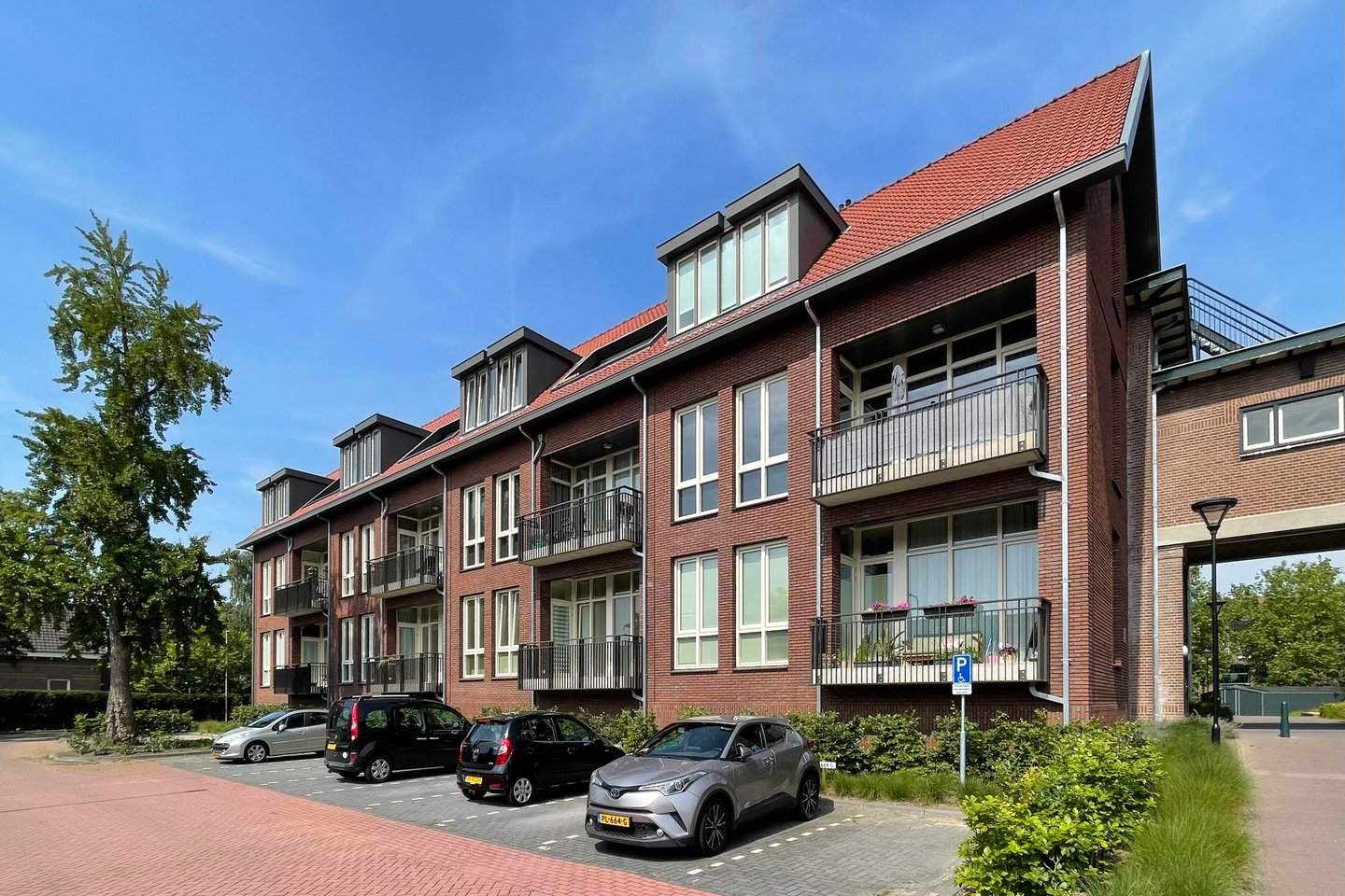 Afbeelding 1 van 12