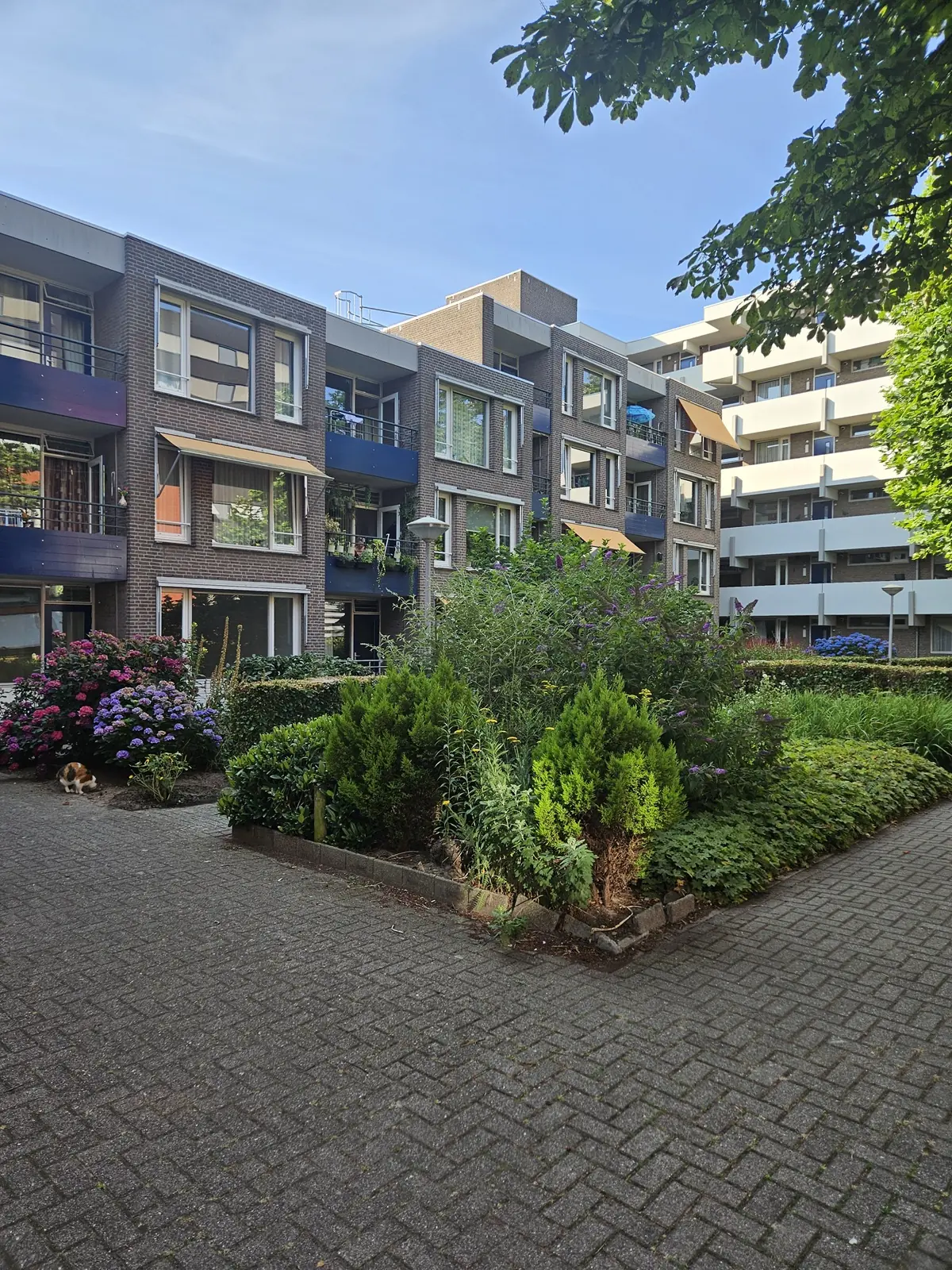 Afbeelding 1 van 8