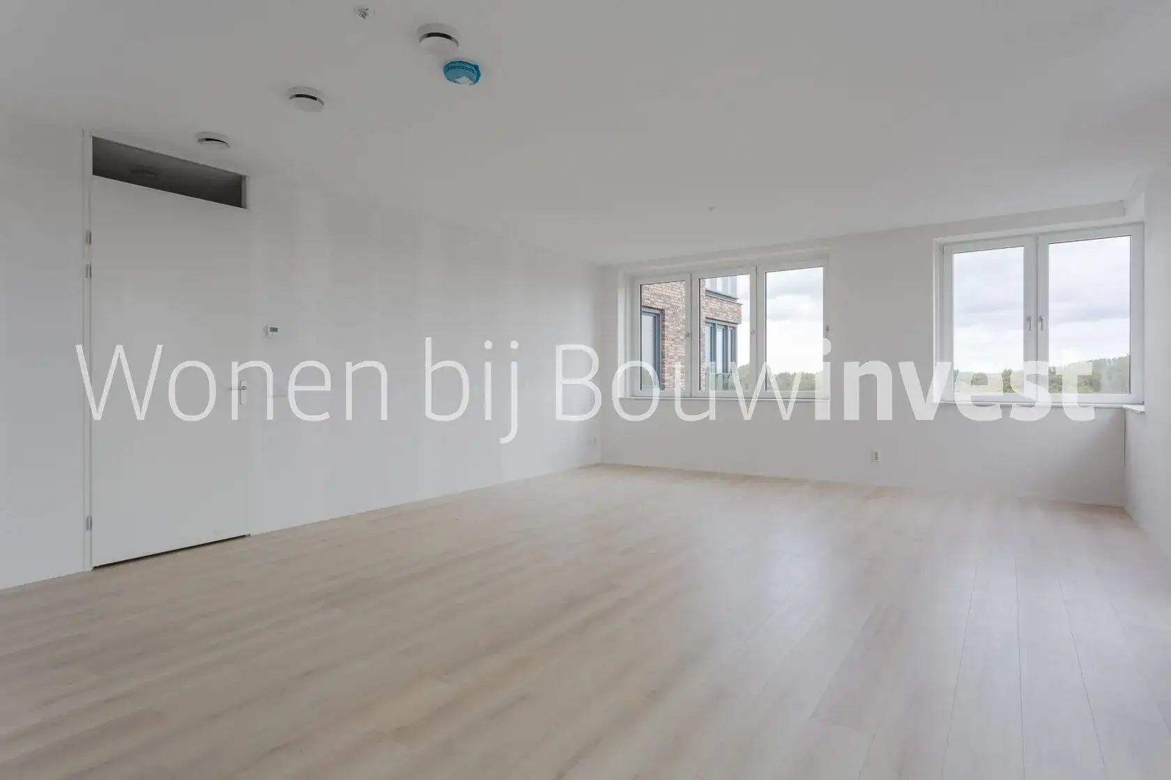 Bild 11 von 34