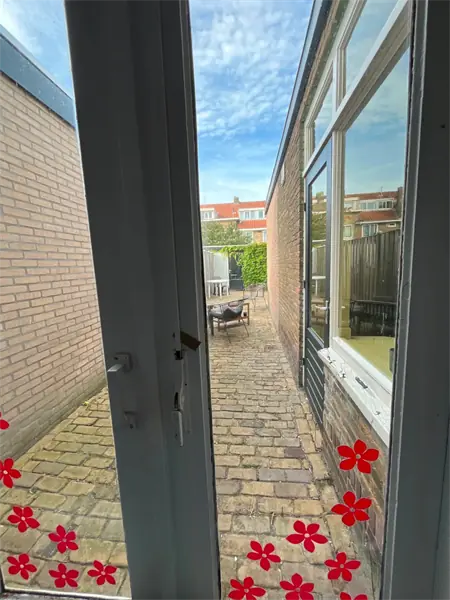 Afbeelding 5 van 5