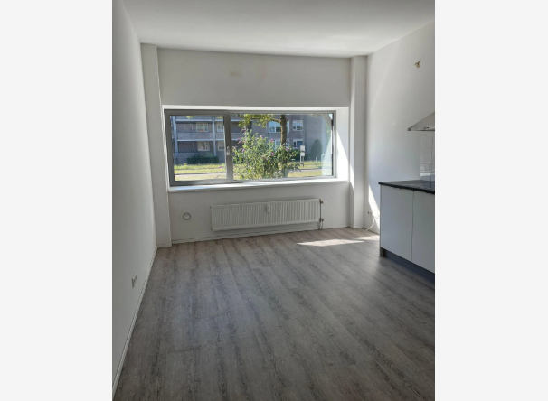 Bild 2 von 7