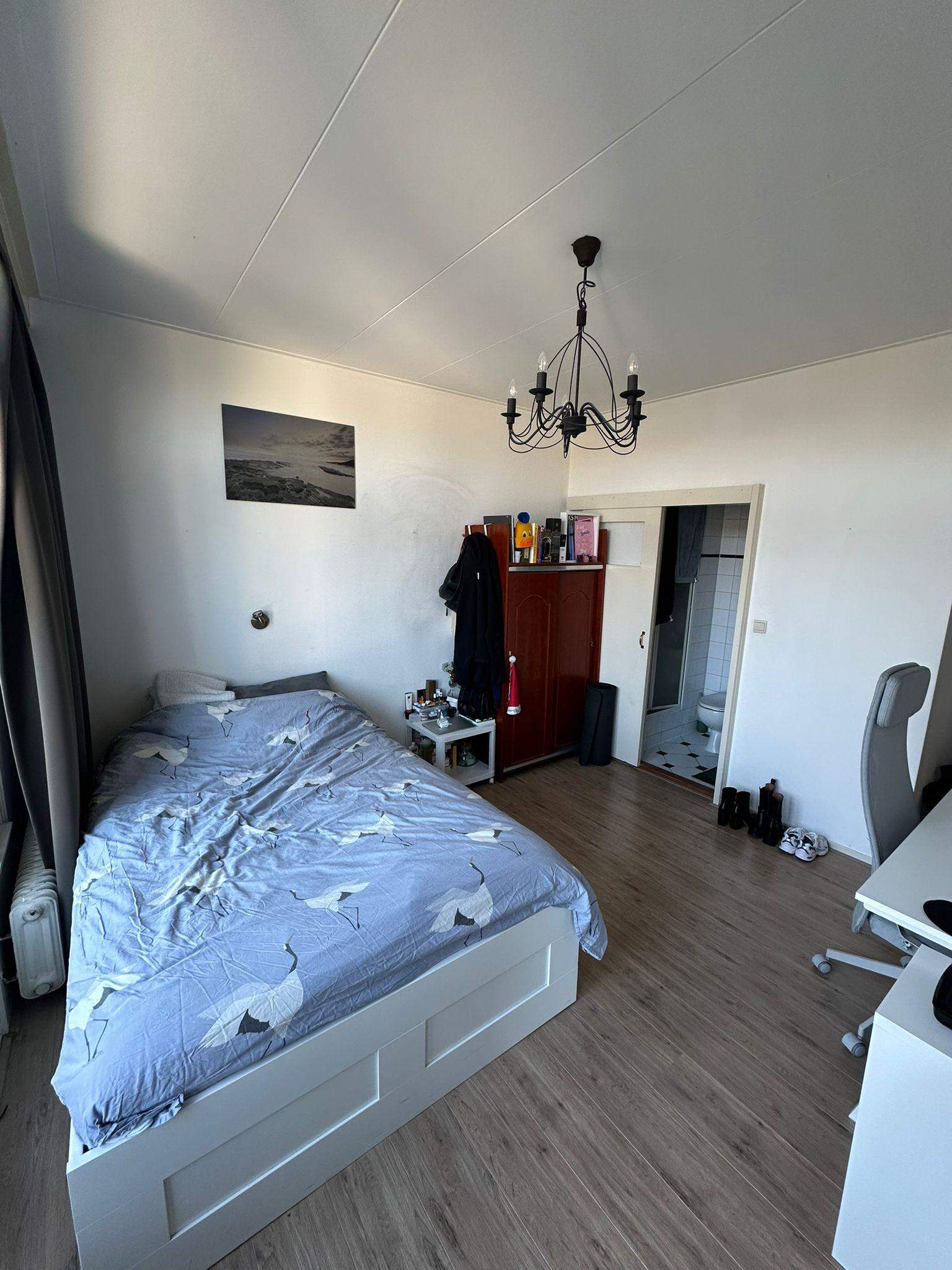 Bild 2 von 8