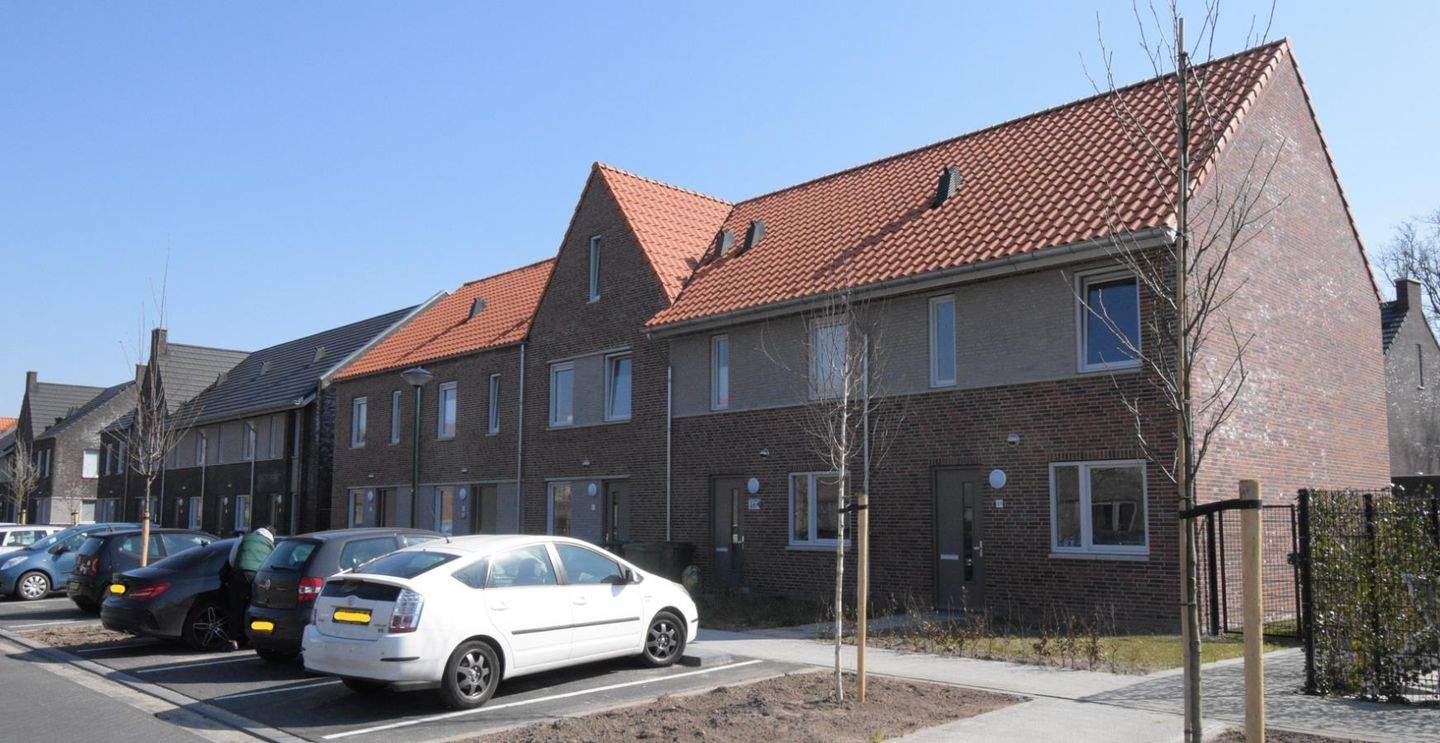 Afbeelding 1 van 12
