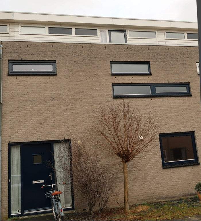 Image 2 of 36