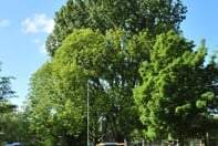 Bild 3 von 4