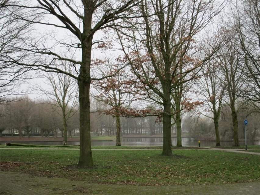 Afbeelding 4 van 4
