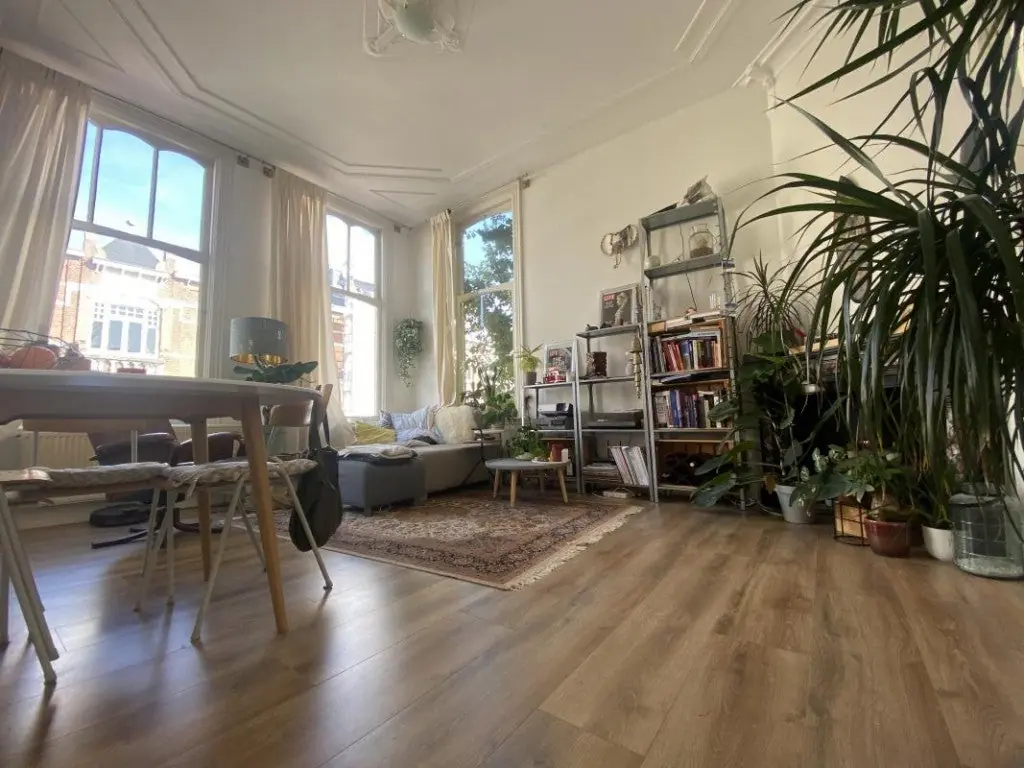 Image 2 of 11