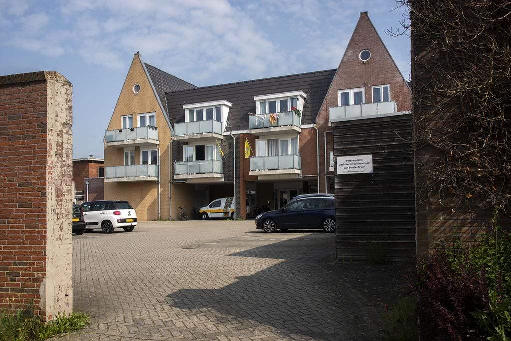 Afbeelding 3 van 8