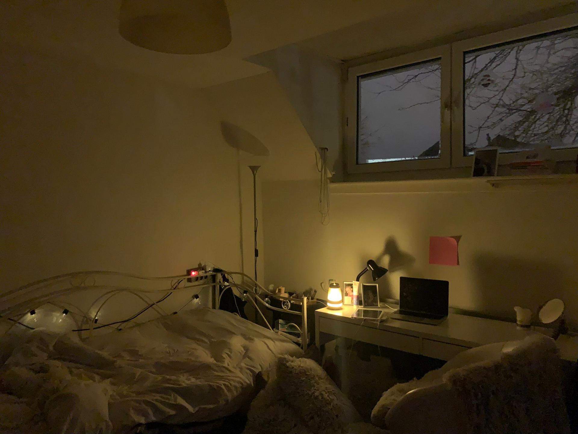 Image 1 sur 1
