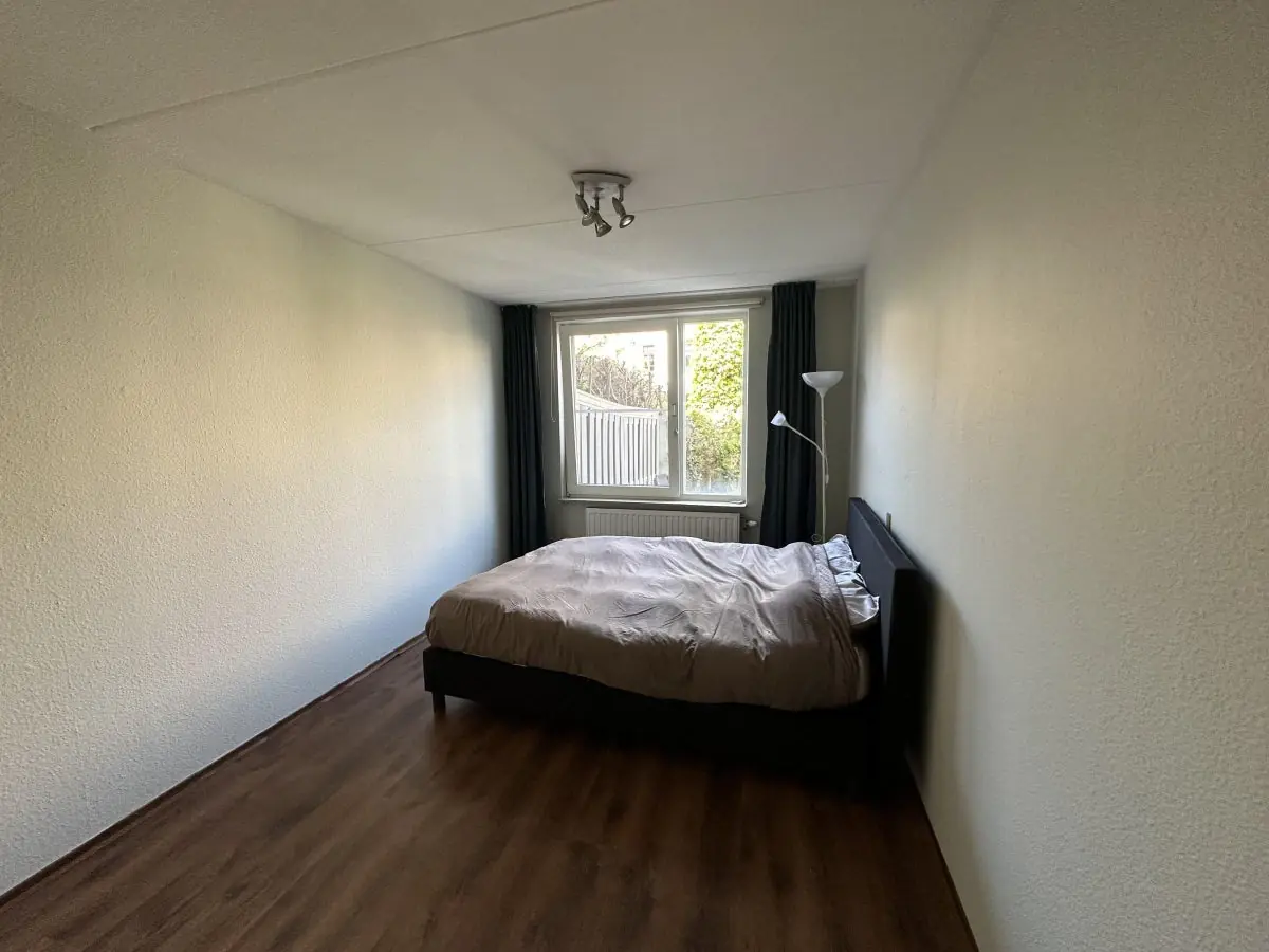 Image 10 of 30